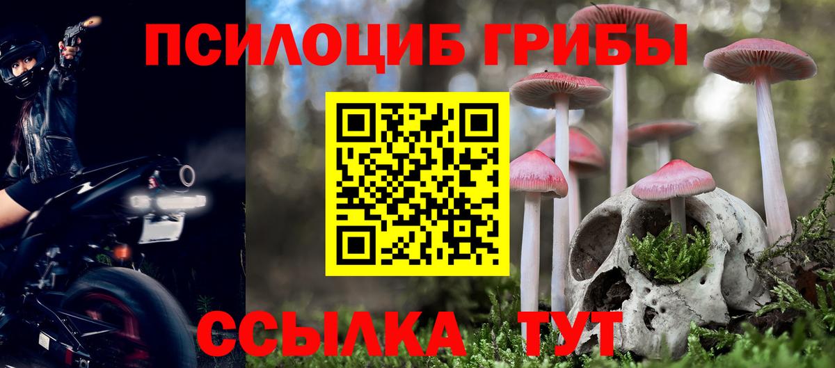Дальнереченск  Псилоцибиновые грибы Magic Shrooms  Вход с VPN 