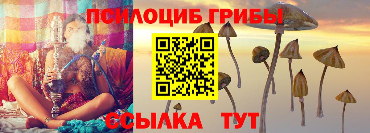 Псилоцибиновые грибы Psilocybine cubensis Дальнереченск